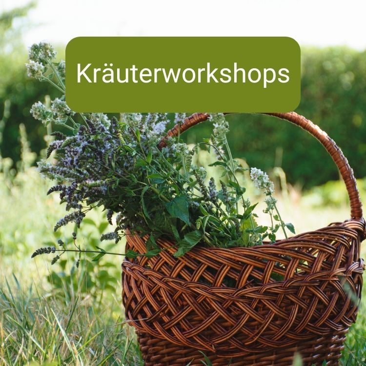 kraeuterworkshops