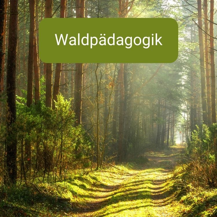 waldpaedagogik