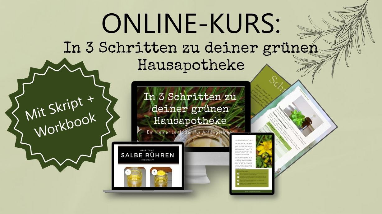 Ankuender Online Kurs